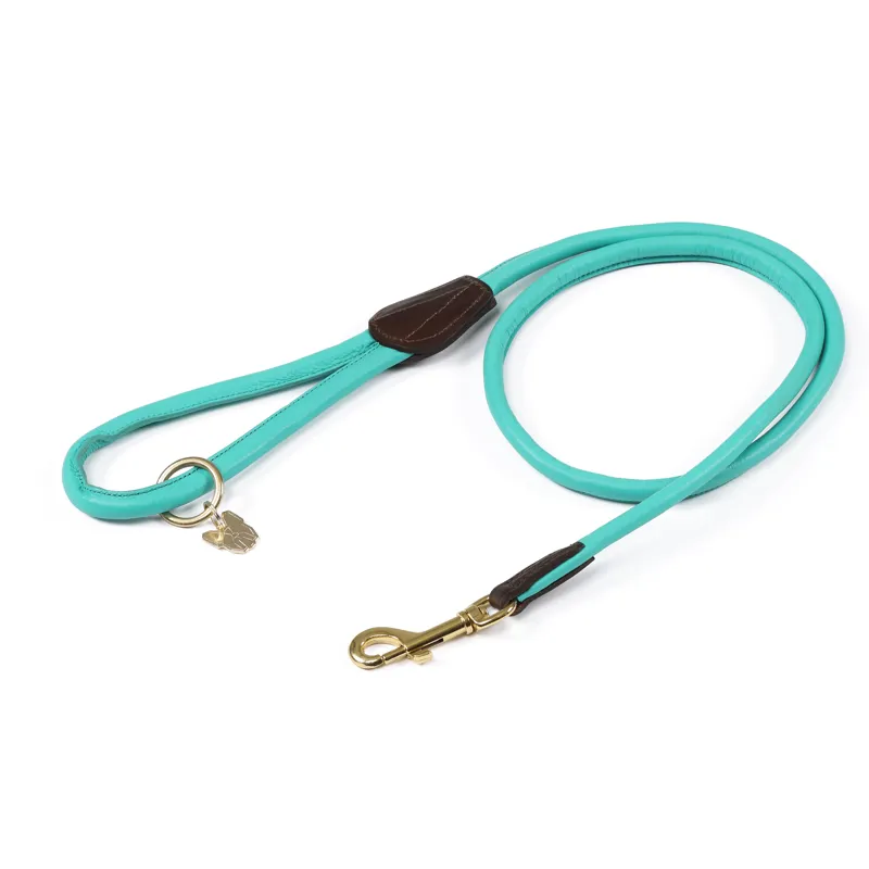 Shires Digby and Fox Rolled Leather Dog Lead - Teal